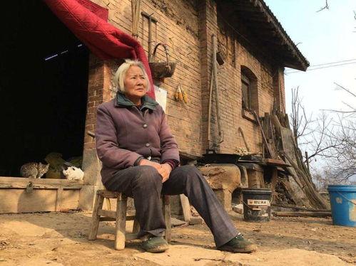 农村吃瓜老人是谁,笑谈世间百态的乡村智者