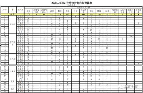 网红的几种人设定,从时尚达人到知识博主，多元人设魅力无限