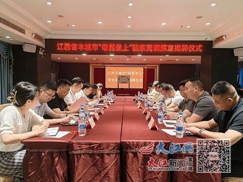 韶关丰城最新新闻头条,最新进展及影响揭秘