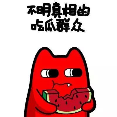 吃瓜群众小小韩,吃瓜群众的趣味生活