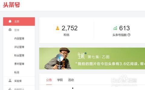 今曰头条怎么推广,揭秘高效内容推广策略