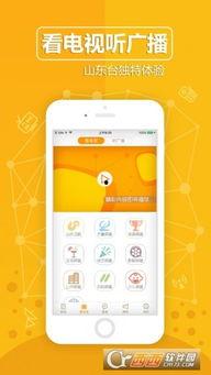 齐鲁卫视直播在线观看,实时掌握山东新闻动态，尽在指尖
