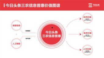 绍兴东大村今日头条,探寻古韵新颜，体验乡村魅力之旅”