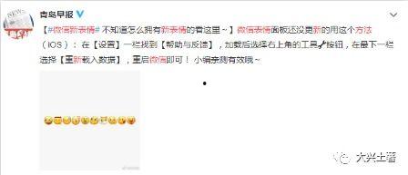 吃瓜打脸小说免费阅读全文,小说世界里的逆袭传奇