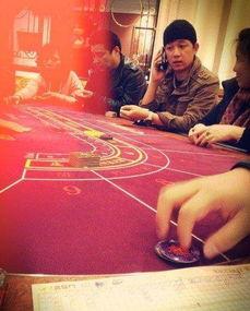 明星 赌钱,揭秘娱乐圈背后的赌博风云