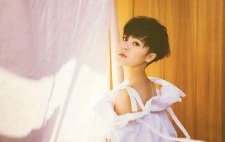 成都有那些明星,成都明星风采掠影