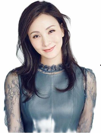 陶虹车祸爆料视频大全下载,回顾事件始末与网友热议