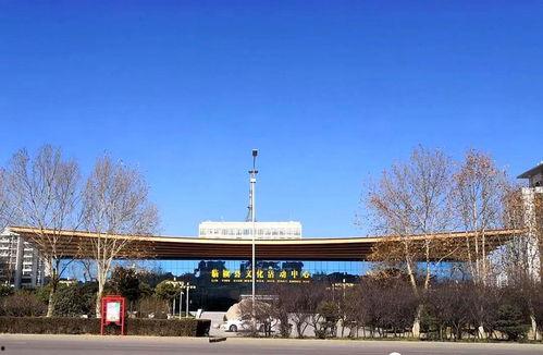 临颍头条辛庄社区,临颍头条聚焦乡村振兴新篇章