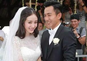 明星忙离婚,离婚潮背后的情感漩涡