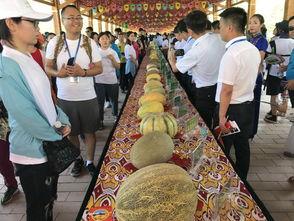 朝阳吃瓜观众,揭秘娱乐圈幕后风云