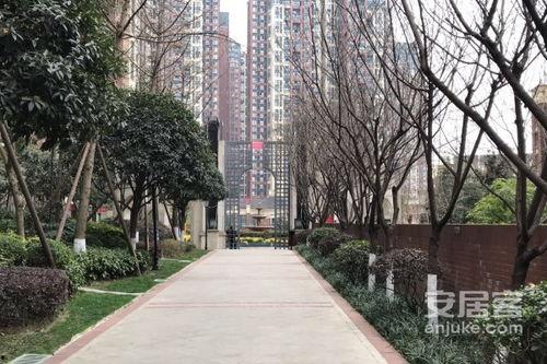 橡树湾小区吃瓜,吃瓜群众见证邻里温情