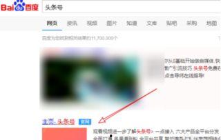 头条小店哪里申请推广,轻松掌握推广之道