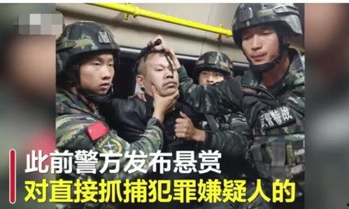 凉山紫英最新爆料事件,揭秘事件背后惊人真相