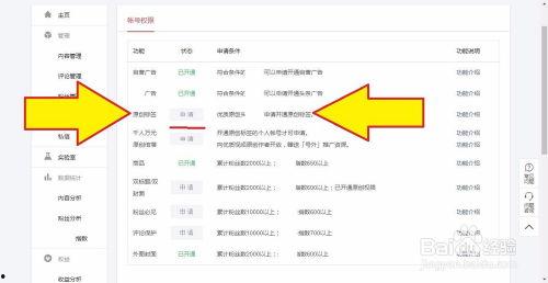 头条号如何申报原创,轻松开启原创之旅