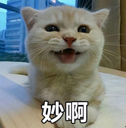 你是我的宝贝头条