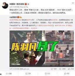 邯郸出轨爆料事件视频最新,真相与争议交织