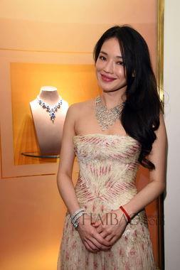 布鲁尼 明星,闪耀星光的璀璨人生