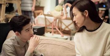 穿书进娱乐圈吃瓜的小说,娱乐圈吃瓜达人