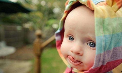 花园宝宝娱乐吃瓜酱,揭秘娱乐圈幕后趣闻