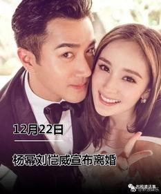 惊全娱乐圈请我吃瓜小说,一场惊心动魄的瓜界盛宴