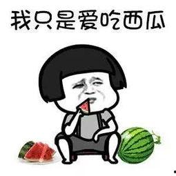 娱乐吃瓜全部,揭秘明星幕后故事，吃瓜群众狂欢盛宴