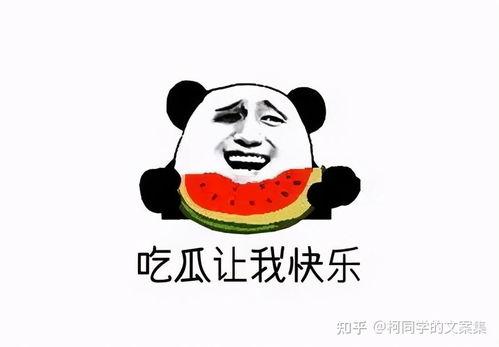 娱乐吃瓜的文案短句,揭秘明星幕后故事