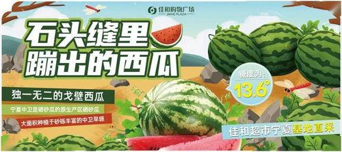 吃瓜大赛免费