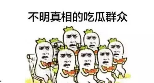 娱乐吃瓜群众一样
