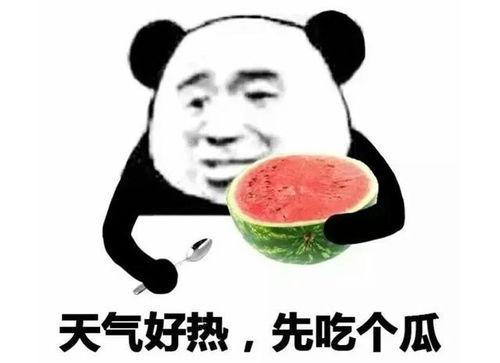娱乐吃瓜酱图片表情包大全,让你笑出腹肌